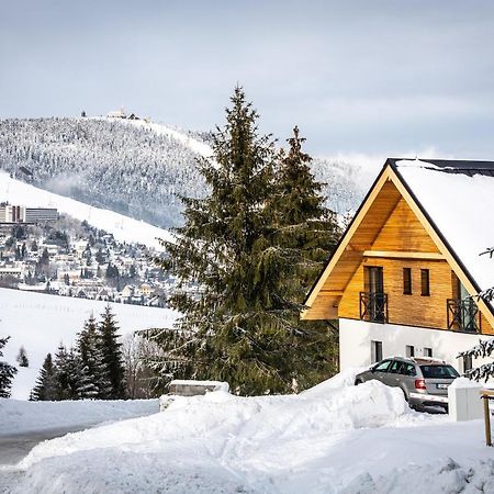 Ski Chalet Klinovec Loučná pod Klínovcem Zewnętrze zdjęcie