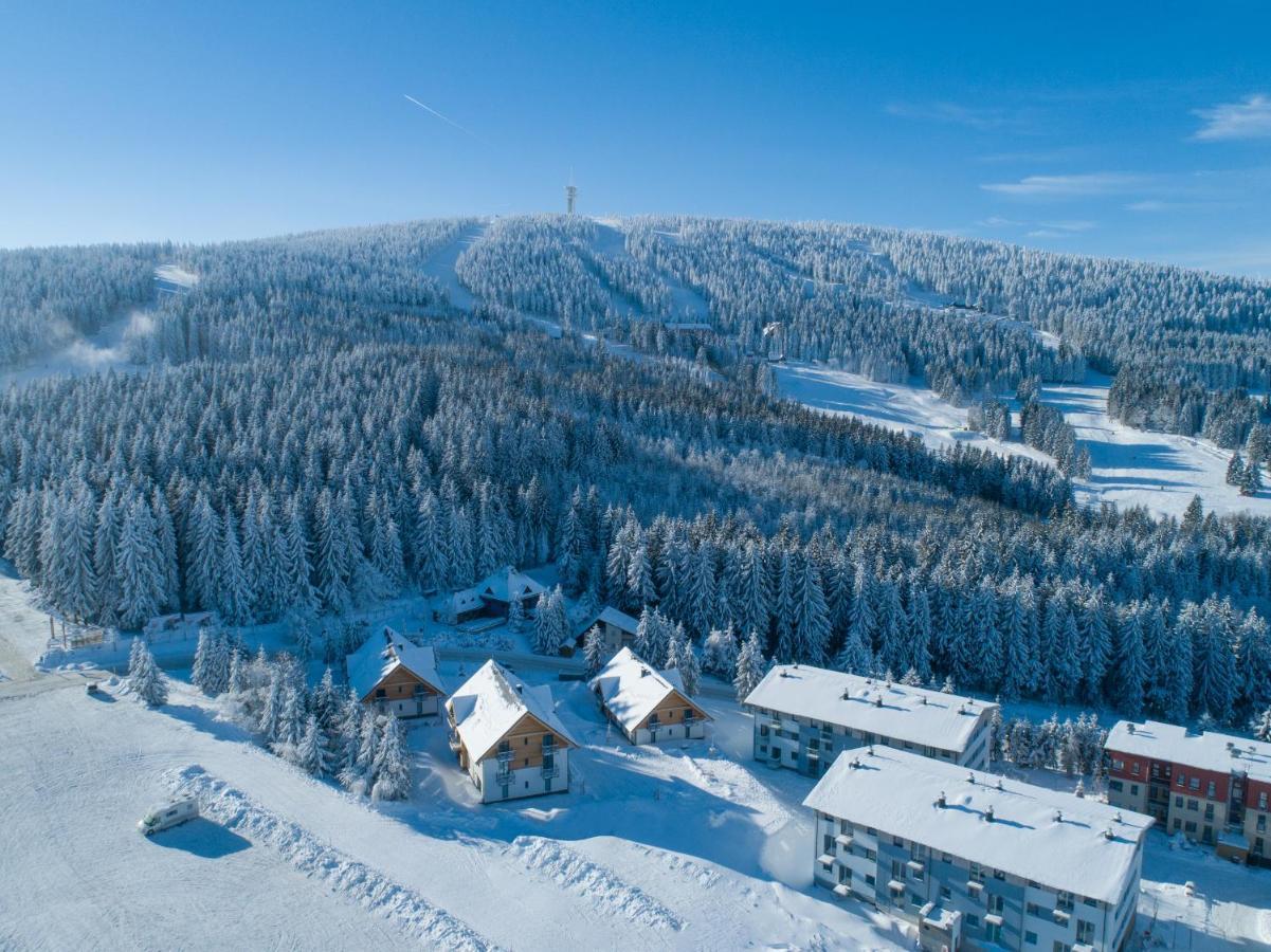 Ski Chalet Klinovec Loučná pod Klínovcem Zewnętrze zdjęcie