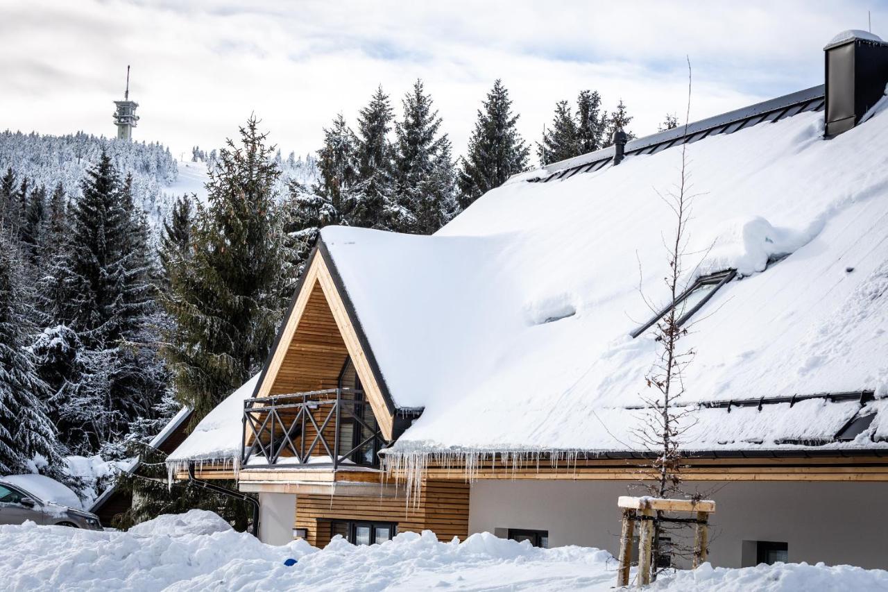 Ski Chalet Klinovec Loučná pod Klínovcem Zewnętrze zdjęcie