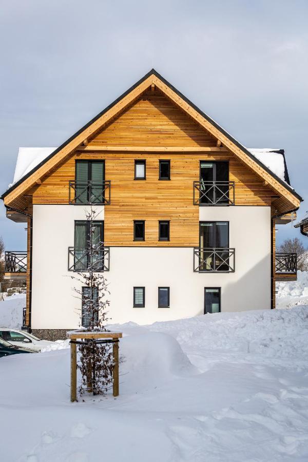 Ski Chalet Klinovec Loučná pod Klínovcem Zewnętrze zdjęcie
