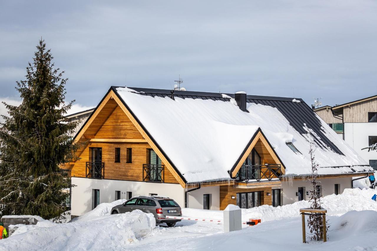 Ski Chalet Klinovec Loučná pod Klínovcem Zewnętrze zdjęcie