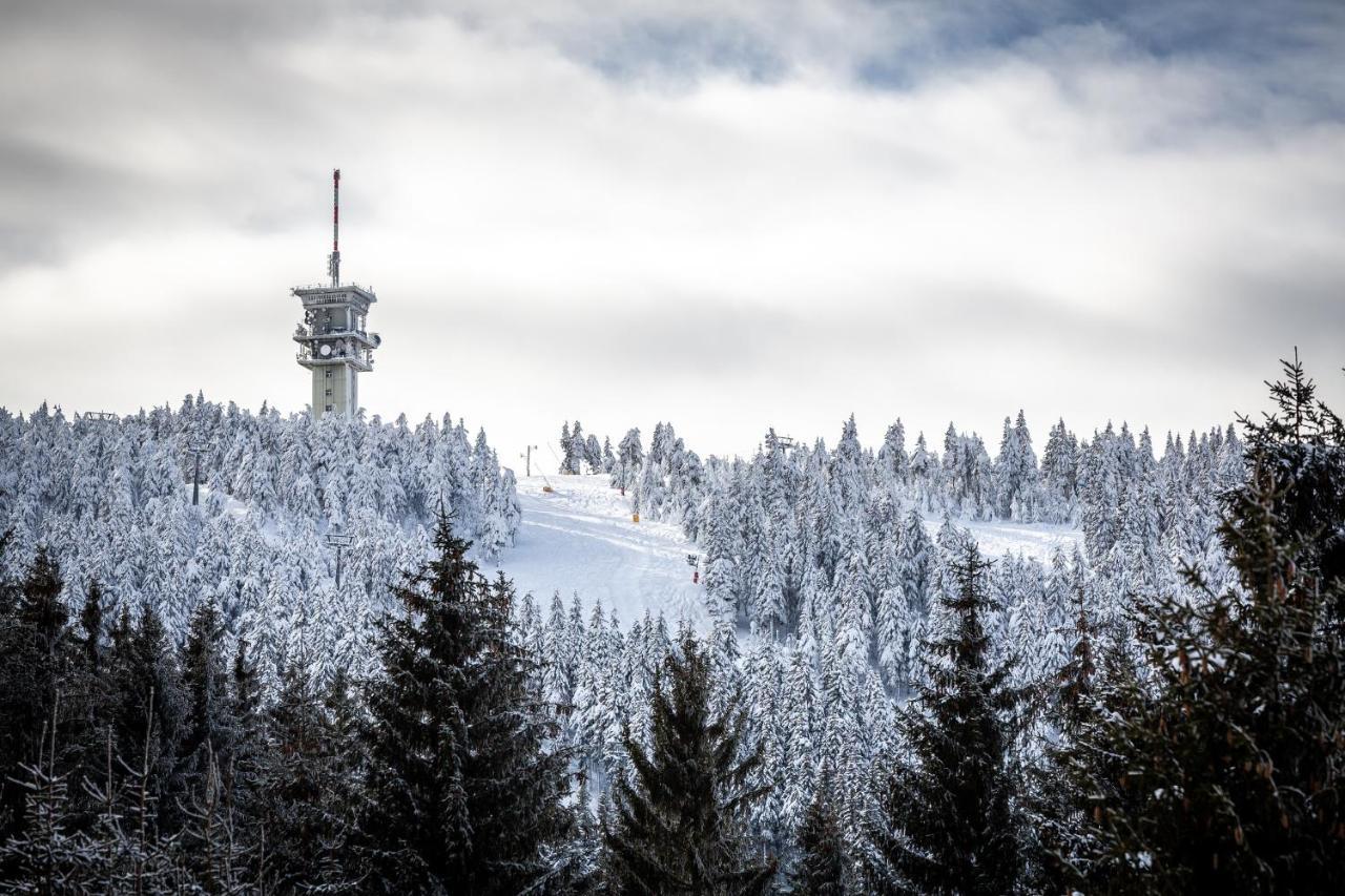 Ski Chalet Klinovec Loučná pod Klínovcem Zewnętrze zdjęcie