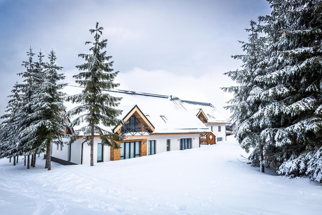 Ski Chalet Klinovec Loučná pod Klínovcem Zewnętrze zdjęcie