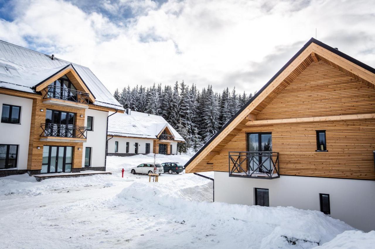 Ski Chalet Klinovec Loučná pod Klínovcem Zewnętrze zdjęcie