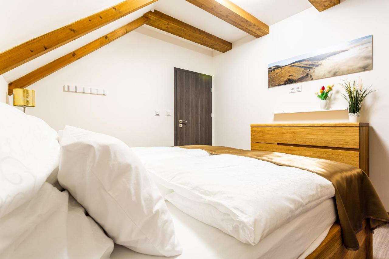 Ski Chalet Klinovec Loučná pod Klínovcem Zewnętrze zdjęcie